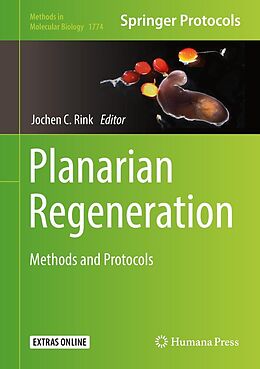 E-Book (pdf) Planarian Regeneration von 