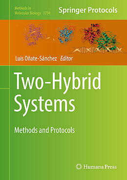 Fester Einband Two-Hybrid Systems von 