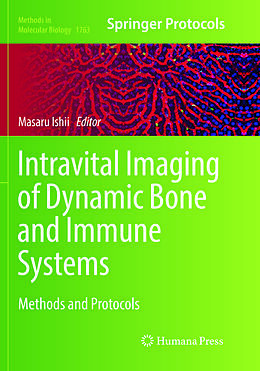 Kartonierter Einband Intravital Imaging of Dynamic Bone and Immune Systems von 