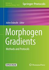 eBook (pdf) Morphogen Gradients de 