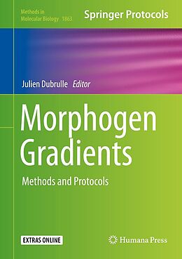 eBook (pdf) Morphogen Gradients de 