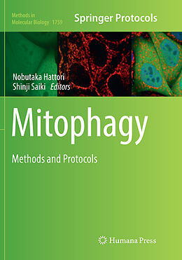 Kartonierter Einband Mitophagy von 