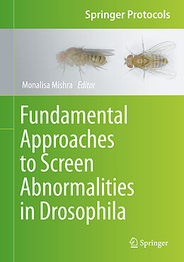 Fester Einband Fundamental Approaches to Screen Abnormalities in Drosophila von Monalisa Mishra