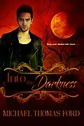 E-Book (epub) Into the Darkness von Michael Thomas Ford