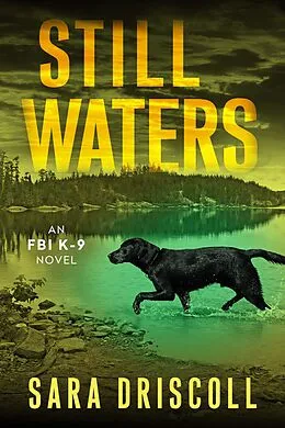 E-Book (epub) Still Waters von Sara Driscoll