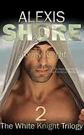 E-Book (epub) Stormy Knight (The White Knight Trilogy, #2) von Alexis Shore