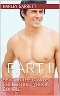 E-Book (epub) Beyond The Dawns Collection: Three Book Bundle Part II von Harley Garrett