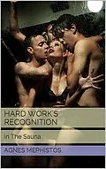 E-Book (epub) Hard Work's Recognition von Agnes Mephistos