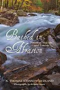 E-Book (epub) Bathed in Abrasion von N. Thomas Johnson-Medland