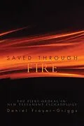 E-Book (epub) Saved Through Fire von Daniel Frayer-Griggs