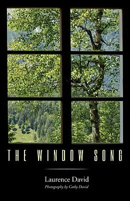 E-Book (epub) The Window Song von Laurence David