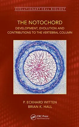 E-Book (pdf) The Notochord von P. Eckhard Witten, Brian K. Hall