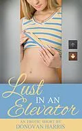 E-Book (epub) Lust in an Elevator (An Erotic Short) von Donovan Harris