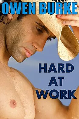 E-Book (epub) Hard At Work (Hot Gay Sex With Hard Horny Guys) von Owen Burke