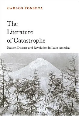 E-Book (pdf) The Literature of Catastrophe von Carlos Fonseca
