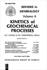 eBook (pdf) Kinetics of Geochemical Processes de 