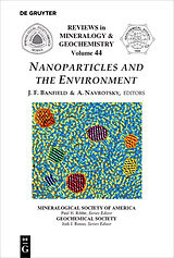 eBook (pdf) Nanoparticles and the Environment de 