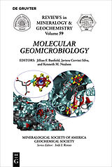 E-Book (pdf) Molecular Geomicrobiology von 
