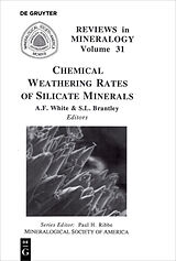 E-Book (pdf) Chemical Weathering Rates of Silicate Minerals von 