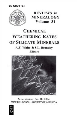 E-Book (pdf) Chemical Weathering Rates of Silicate Minerals von 