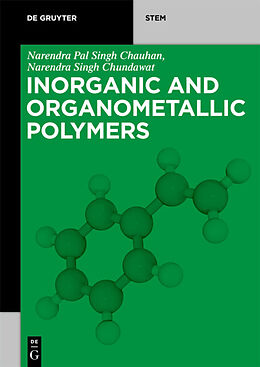 eBook (pdf) Inorganic and Organometallic Polymers de Narendra Pal Singh Chauhan, Narendra Singh Chundawat