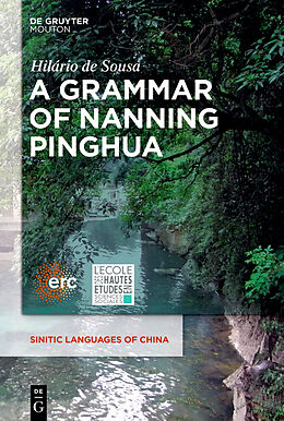 Livre Relié A Grammar of Nanning Pinghua de Hilário de Sousa