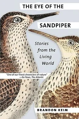 E-Book (epub) The Eye of the Sandpiper von Brandon Keim