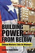 E-Book (epub) Building Power from Below von Carolina Bank Muñoz