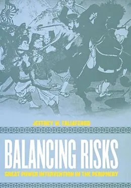 E-Book (pdf) Balancing Risks von Jeffrey W. Taliaferro