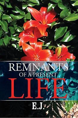 E-Book (epub) Remnants of a Present Life von E. J.