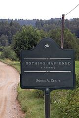 Livre Relié Nothing Happened de Susan A Crane