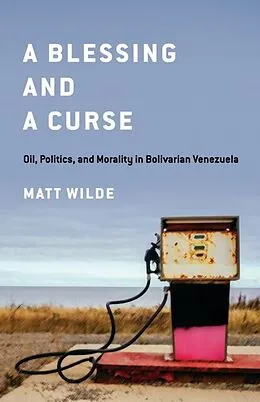E-Book (epub) A Blessing and a Curse von Matt Wilde