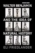E-Book (pdf) Walter Benjamin and the Idea of Natural History von Eli Friedlander