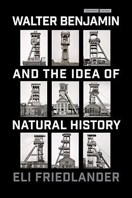 E-Book (pdf) Walter Benjamin and the Idea of Natural History von Eli Friedlander