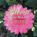 E-Book (epub) Bloom Where You Are Planted von Sheila Henley