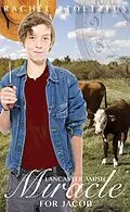 E-Book (epub) A Lancaster Amish Miracle for Jacob (A Lancaster Amish Home for Jacob, #8) von Rachel Stoltzfus