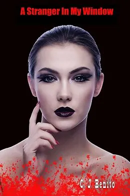 E-Book (epub) Stranger In My Window von C. J. Benito