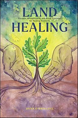 E-Book (epub) Land Healing von Dana O'Driscoll