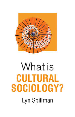 E-Book (epub) What is Cultural Sociology? von Lyn Spillman