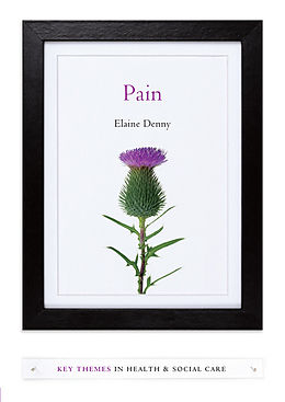 E-Book (epub) Pain von Elaine Denny