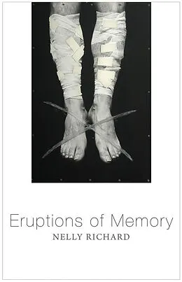 E-Book (epub) Eruptions of Memory von Nelly Richard