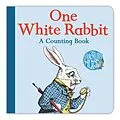 E-Book (epub) One White Rabbit: A Counting Book von Lewis Carroll