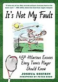E-Book (epub) It's Not My Fault von Joshua Shifrin
