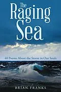 E-Book (epub) The Raging Sea von Brian Franks