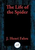 E-Book (epub) Life of the Spider von J. Henri Fabre