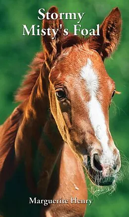 E-Book (epub) Stormy, Misty's Foal von Marguerite Henry