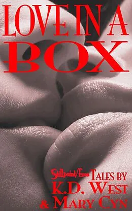 E-Book (epub) Love in a Box von K. D. West