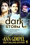 E-Book (epub) Dark Storm, Soul Storm Books Collection von Ann Gimpel