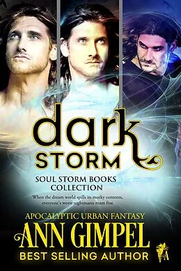 E-Book (epub) Dark Storm, Soul Storm Books Collection von Ann Gimpel