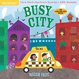 Kartonierter Einband (Kt) Indestructibles: Busy City von Pixton Amy